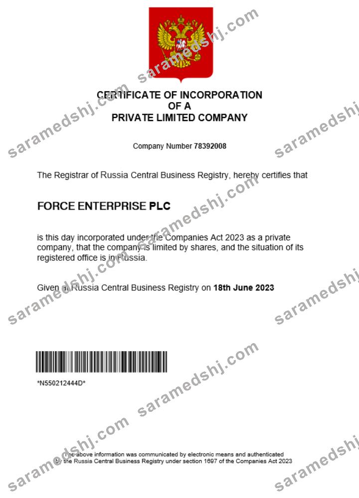 Russia business registration certificate Word and PDF template